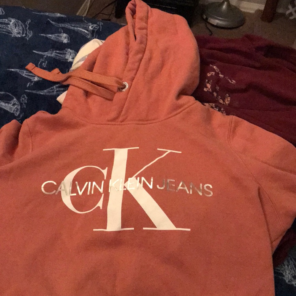Calvin Klein sweatshirt dress